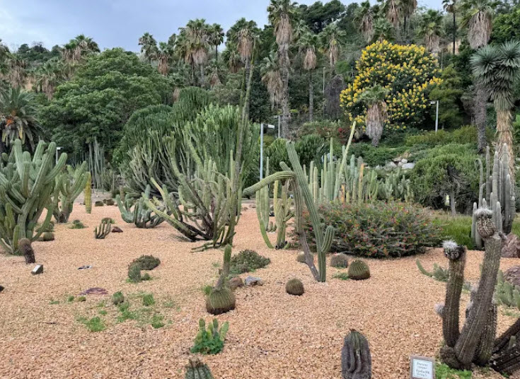 Jardi Botanic Historic, Spain